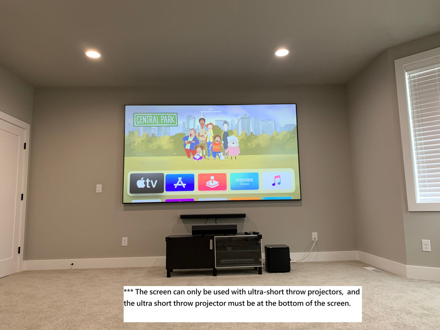 Sapphire 120" Ambient Light Fixed Frame Screen 16:9 Ratio. Viewing Area 265cm x 149cm
